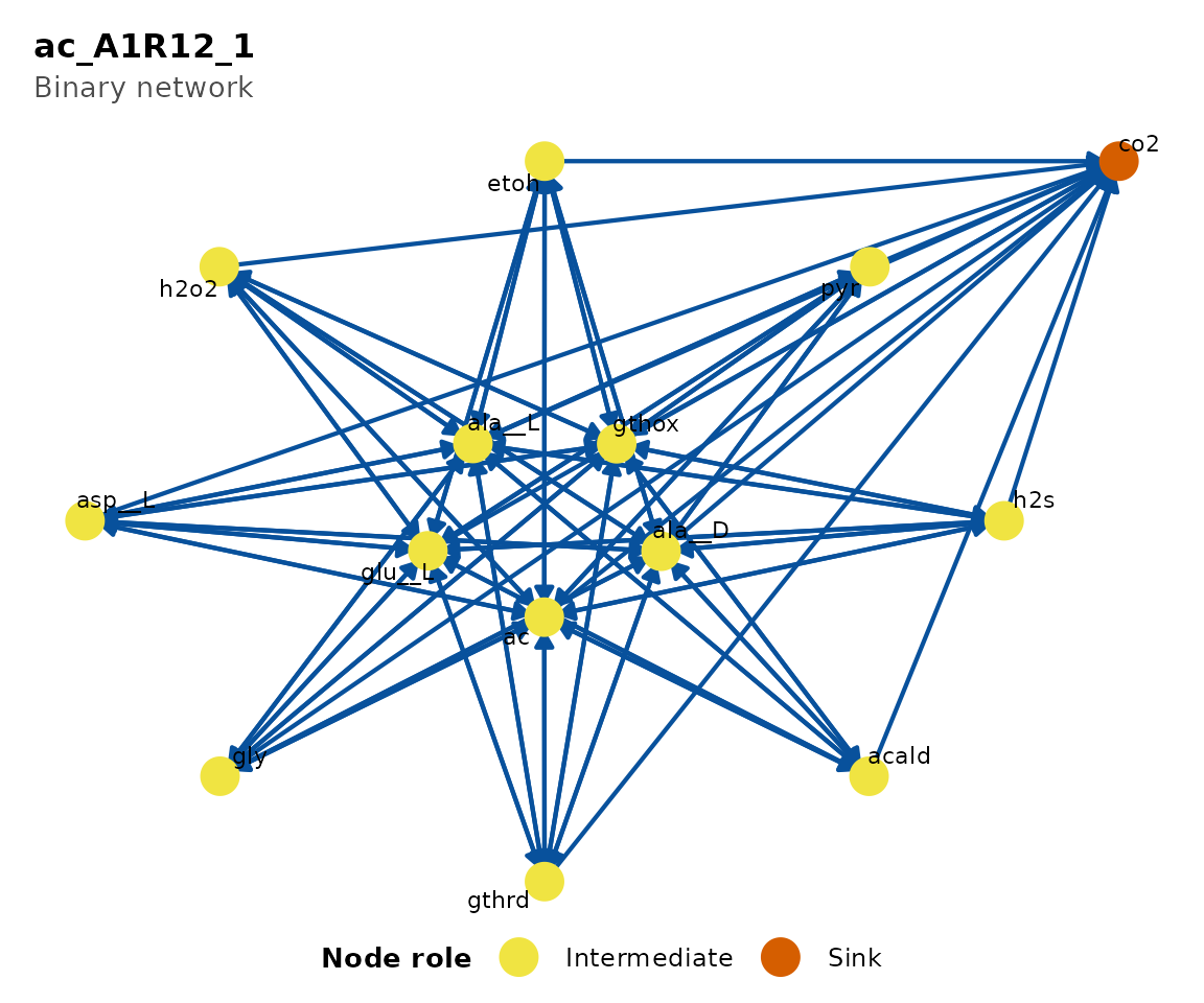 Metabolic network for the first consortium.